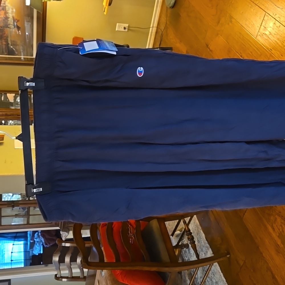 Champion Big and Tall athletic pants